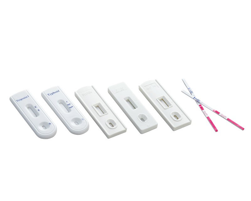 Rapid Testing Series