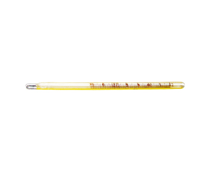 Rectal Use Clinical Thermometer